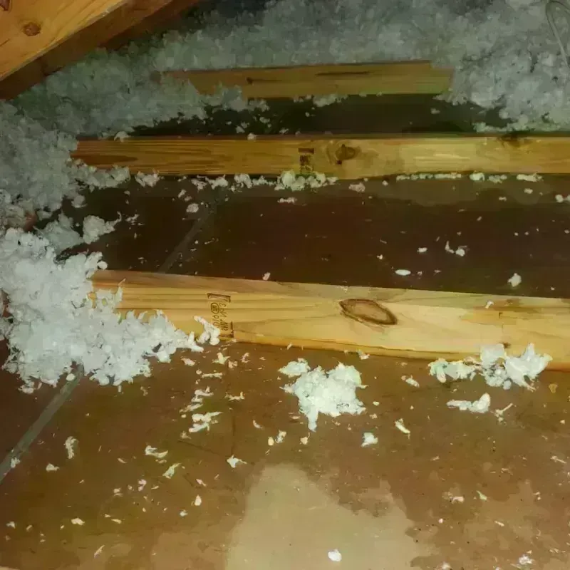 Attic Water Damage in Ohioville, PA