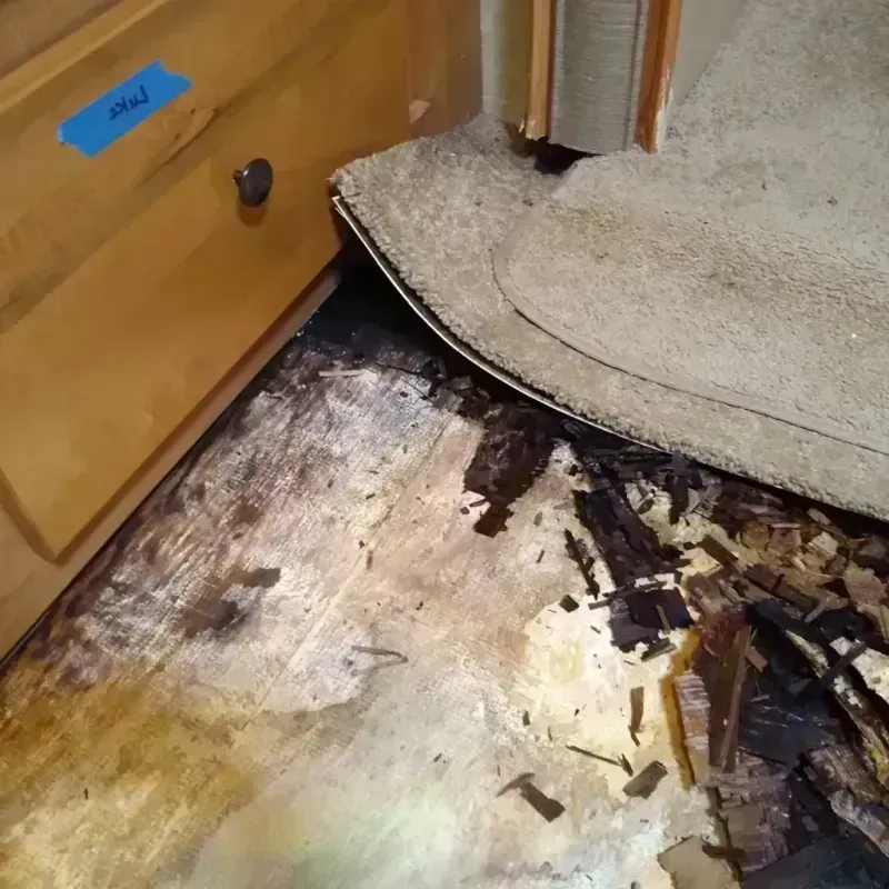 Best Wood Floor Water Damage Service in Ohioville, PA